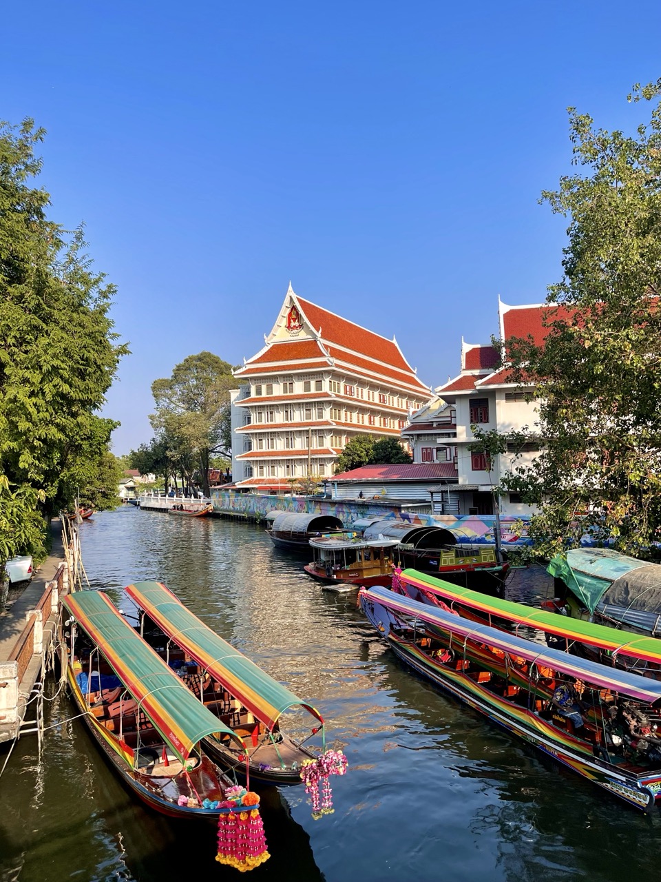 Portfolio Image 8